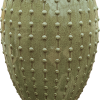 Laos