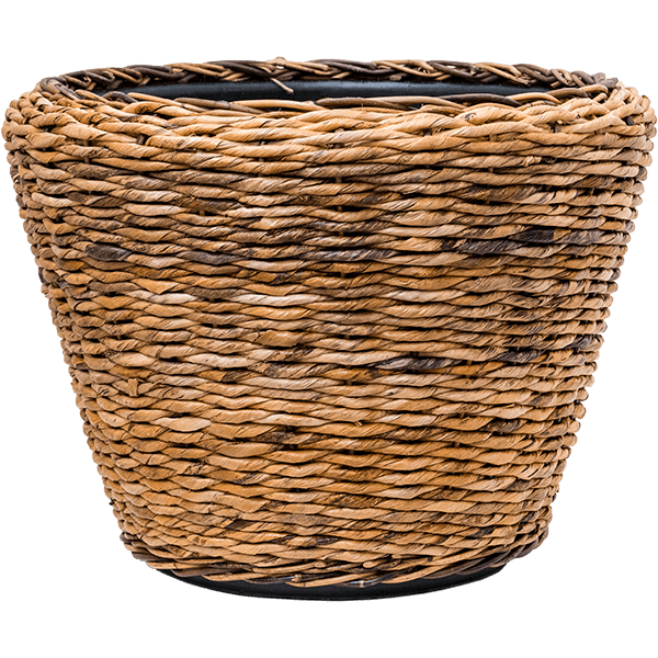 Drypot Abaca