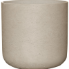 Brut