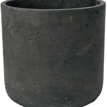 Brut Brut