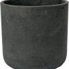 Brut