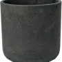 Brut