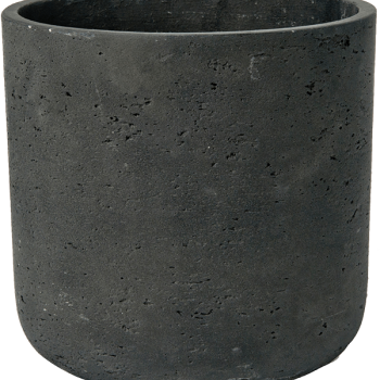 Brut