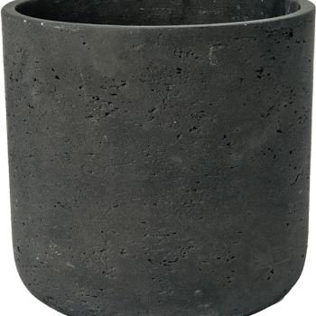 Brut Brut