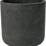 Brut