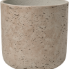 Brut