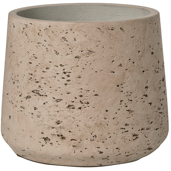 Brut