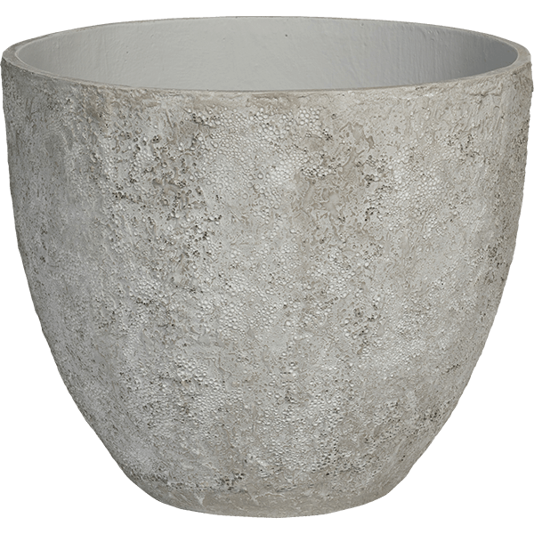 Stridie
