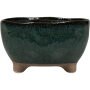 Kaat