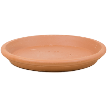 Teracotă