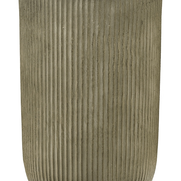 Baq Vertical Rib
