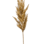 Iarbă de pampas