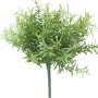 Rozmarin