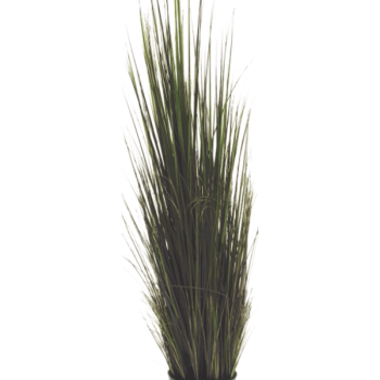 Râul Grass Râul Grass