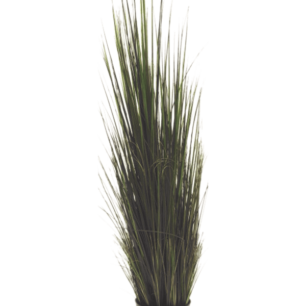 Râul Grass