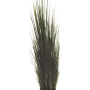 Râul Grass
