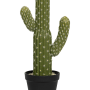 Cactusul Saguaro