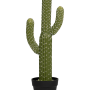 Cactusul Saguaro