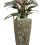 Philodendron „Imperial Red” în ghiveci Baq Lava
